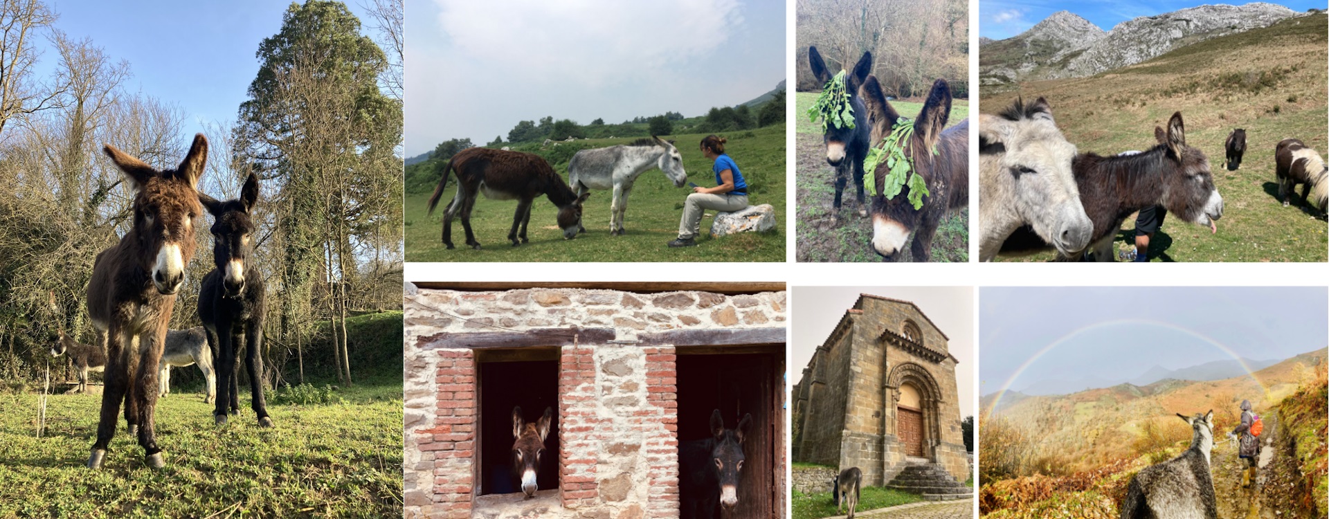 Ir a Imagen Asociación Burru