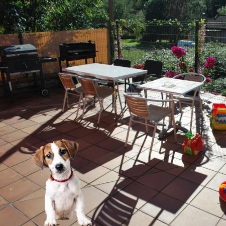 Relax en plena naturaleza en los Apartamentos Rurales Camino Picos de Europa