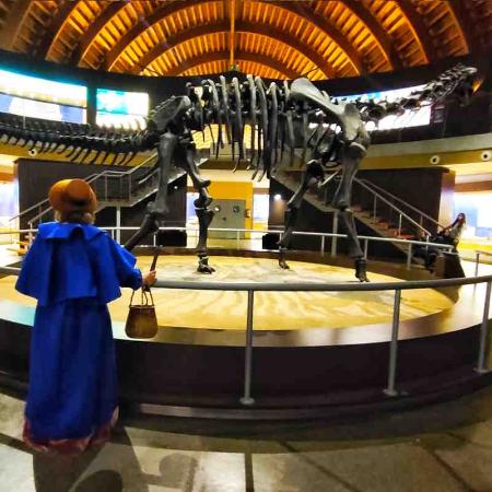 Día Internacional de la Mujer y la Niña en la Ciencia