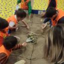 Image Taller infantil Excava y descubre