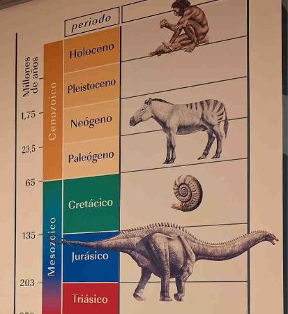 Midiendo el origen de la vida