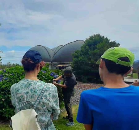 Día del Medio Ambiente