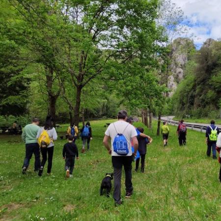 Arte paleolítico en los Valles del Trubia
