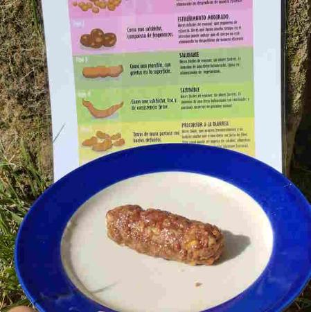 Experimentos de caca