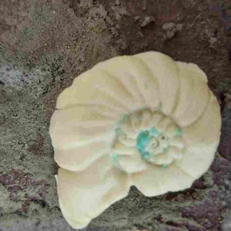 Convierte tu fósil en un imán