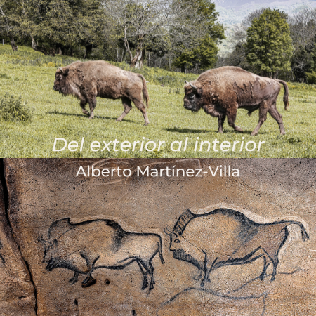 Del exterior al interior. La mirada del artista paleolítico