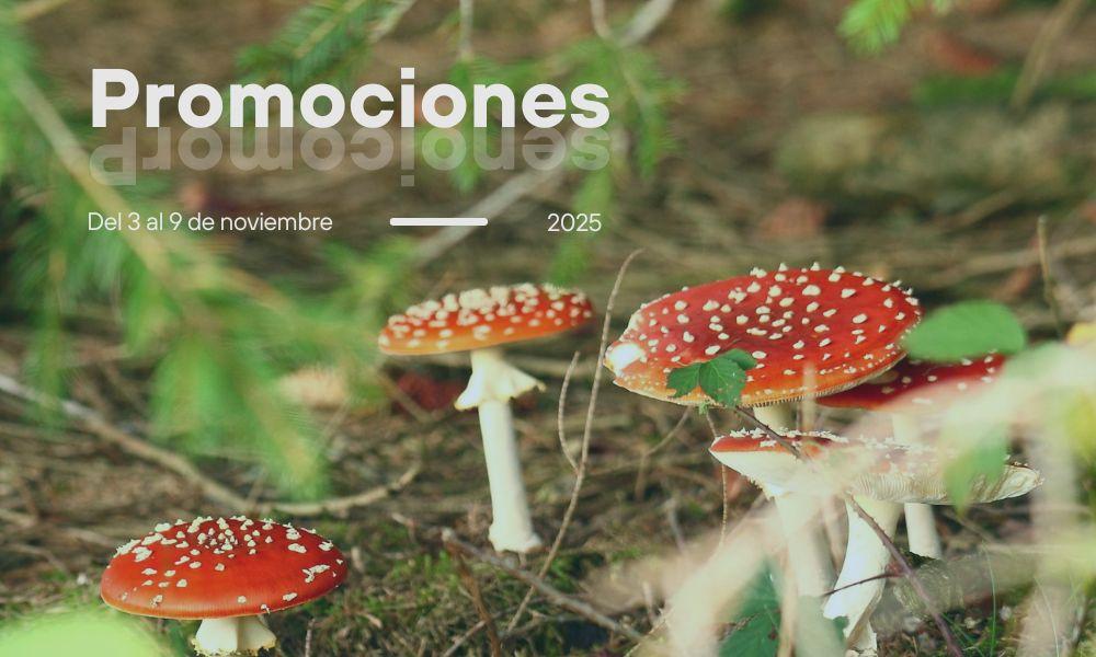Imagen Promociones semanales: del 3 al 9 de noviembre