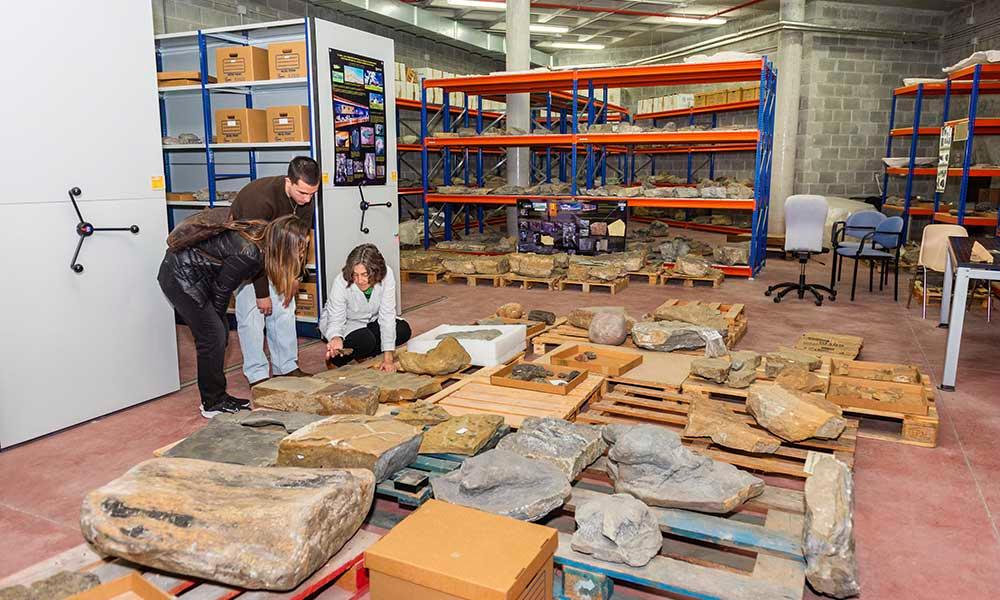 Ir para Imagem Semana de la Ciencia en el MUJA