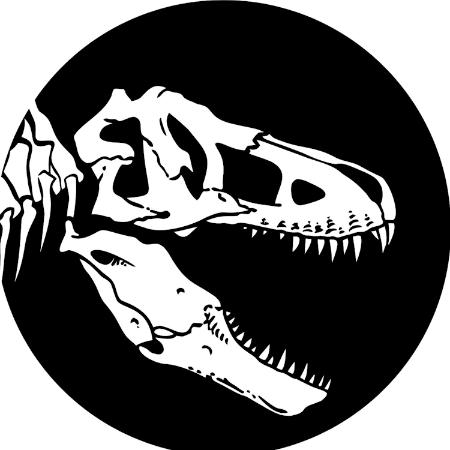 Radiografías jurásicas