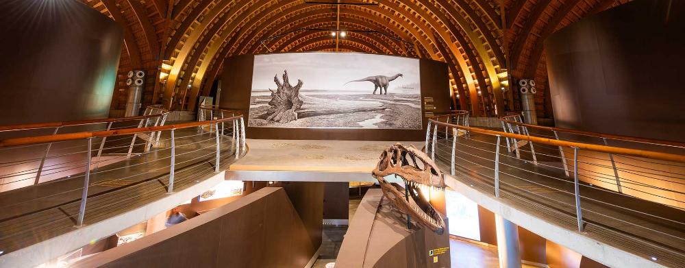 Imagem Accesibilidad