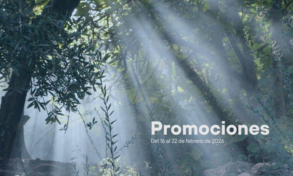 Imagen Promociones semanales: del 16 al 22 de febrero