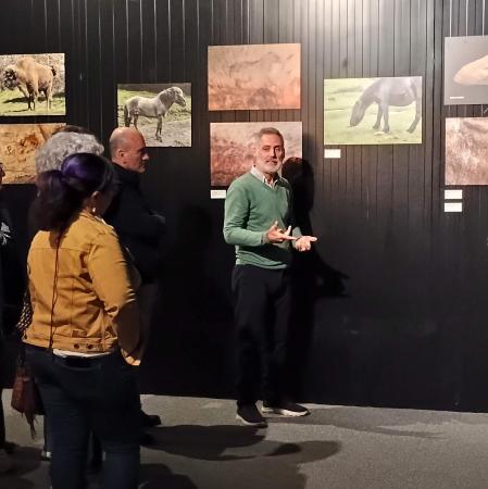 Los inicios del arte en la cuenca del río Sella: de los primeros descubrimientos hasta las últimas metodologías. Una historia de la investigación.