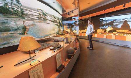 Imagen Actividades para todas las edades para celebrar el Día de la Tierra en el Museo del Jurásico de Asturias