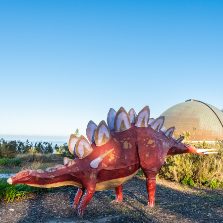 Un paseo entre dinosaurios