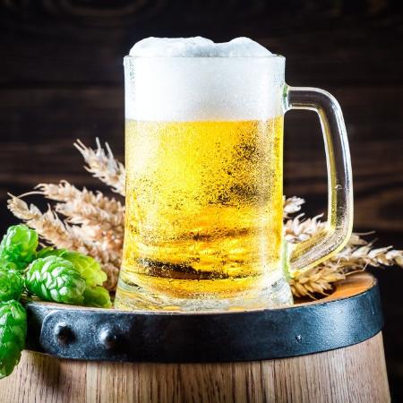 Taller de cerveza artesana