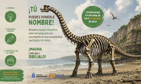 Imagen Las personas que visiten el MUJA pondrán nombre al gran dinosaurio hallado en los acantilados de Ribadesella