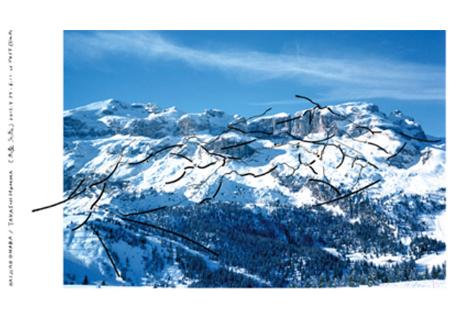 Imagen Cartografías del monte