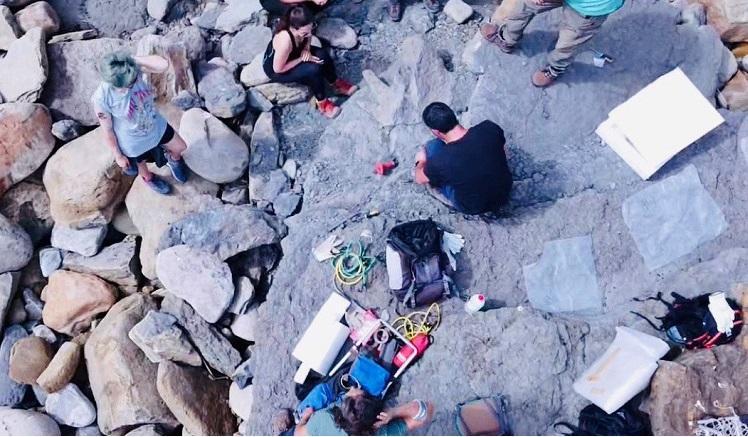 5KpJerCYY4VWDjm46sUax4MLFzXKX4c4