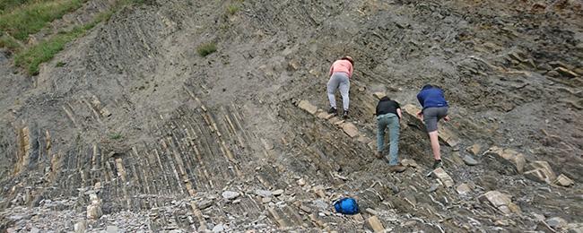 5L7cCH3jzeTMQVfiNEEZZuiZ4U9FnCA6