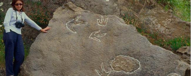 DQX86CD5NiCagpkxuFZhSwipB39zS9k6