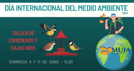 Taller de comederos y cajas nido para aves