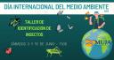 Imagen Taller de identificación de insectos