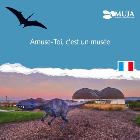 Imagen Guidebook in French