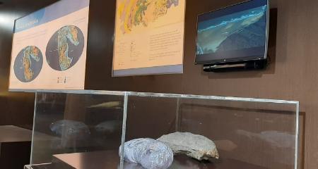 Visita guiada por el Museo con el equipo científico