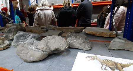 Taller de fósiles con el equipo científico