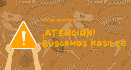 ¡Atención, buscamos fósiles!