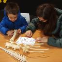 Imagen Hueso a Hueso