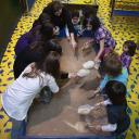 Image Excava y descubre