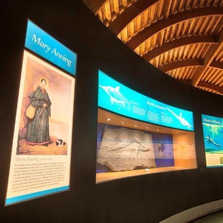 Día Internacional de la Mujer y la Niña en la Ciencia