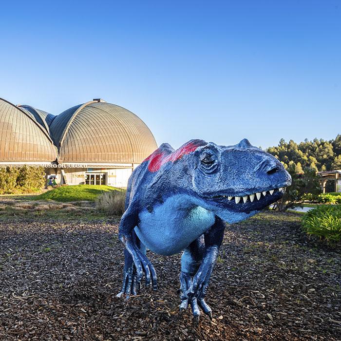 Imagen Jardín y zona de juegos