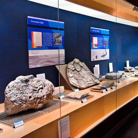 Microvisitas al Jurásico Asturiano