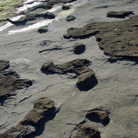 Visita al yacimiento de Tereñes