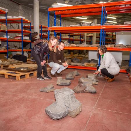 Día Internacional de los Museos 2024