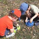 Image Día del Medio Ambiente