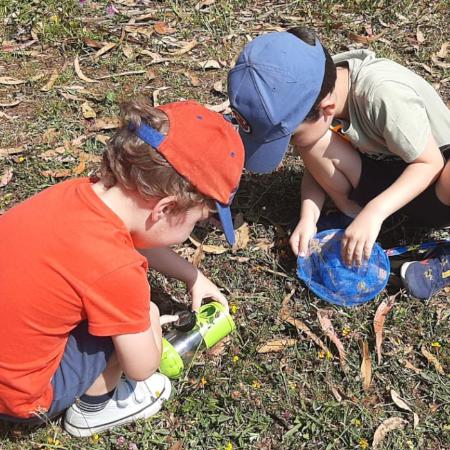Día del Medio Ambiente