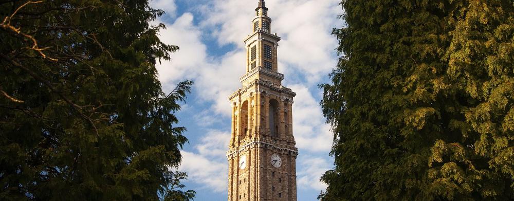 Imagen Visita individual