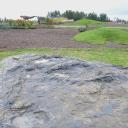 Image Tras el rastro de un dinosaurio