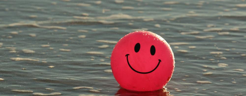 Imagen Establecimientos especializados