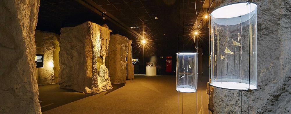 Imagen Área 5. Descubriendo tesoros ocultos