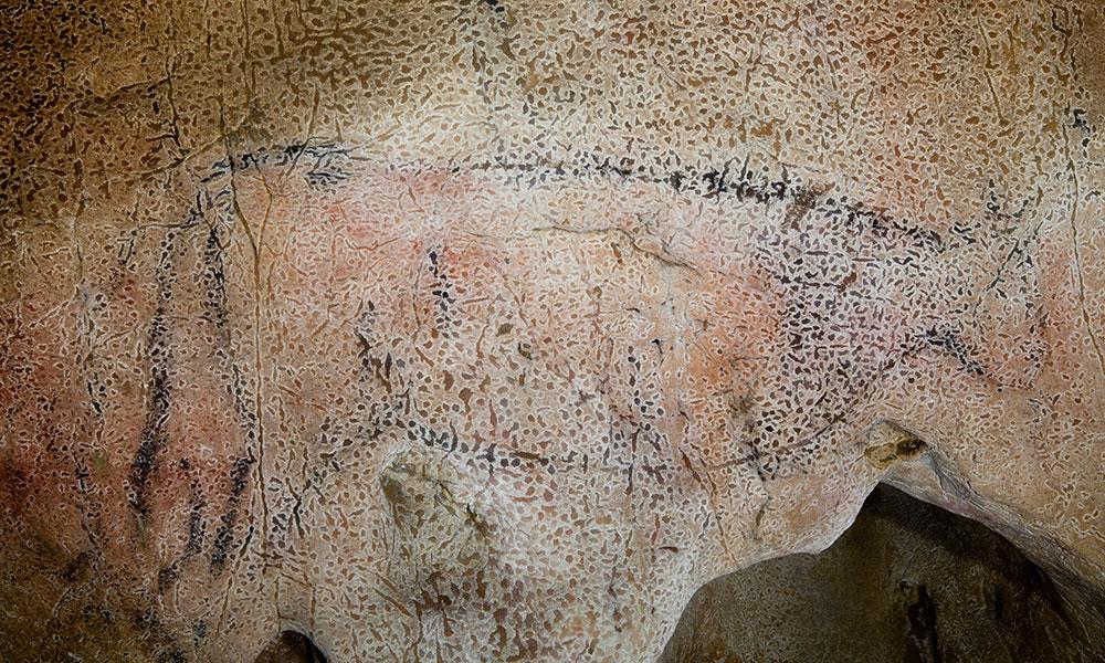 Imagen El arte rupestre de la Cueva de Tito Bustillo