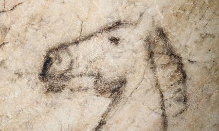 Imagen Horarios y tarifas Cueva de Tito Bustillo