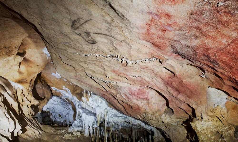 Imagen Panel Principal