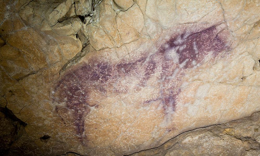 Imagen Conjuntos no visitables