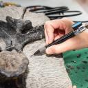 Image Taller de fósiles con el equipo científico del MUJA