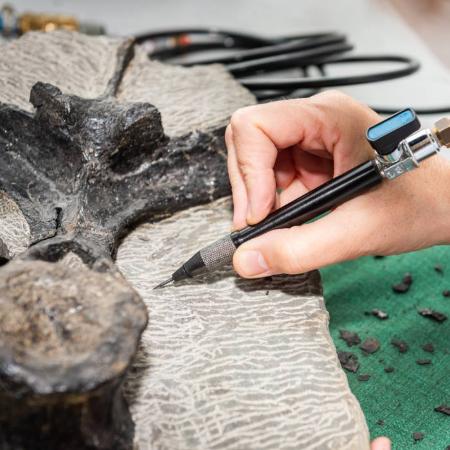 Taller de fósiles con el equipo científico