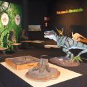 Image Viaje a lo largo del tiempo. 20 años del MUJA